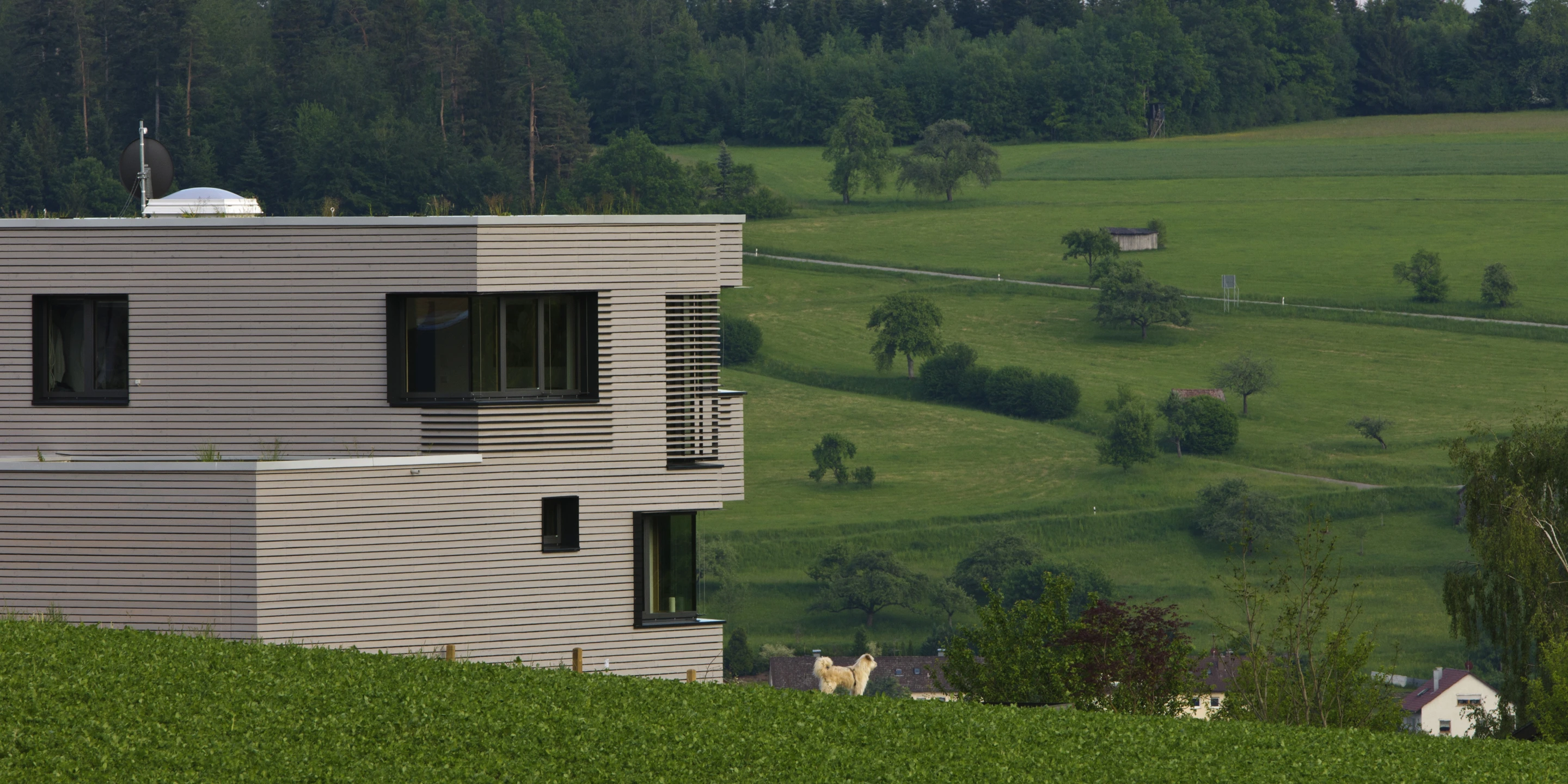 Wohnhaus | Altensteig Neubau, Betontragwerk, Holzfassade, Flachdach, Terrasse, Garten, Privat, Wohnen, Architektur, KTP, Kauffmann Theilig Partner, Freie Architekten PartGmbB, Stuttgart,